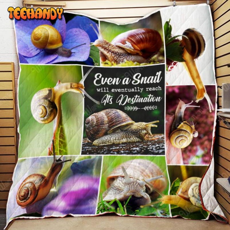 Snail 3D Customized Quilt Blanket