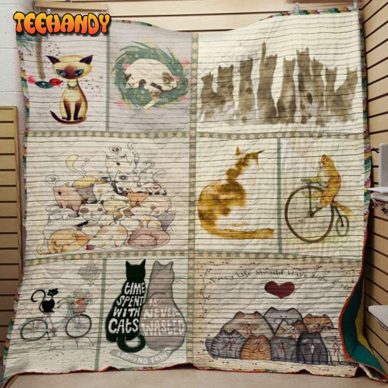 Time Spent With Cats 3D Customized Quilt Blanket