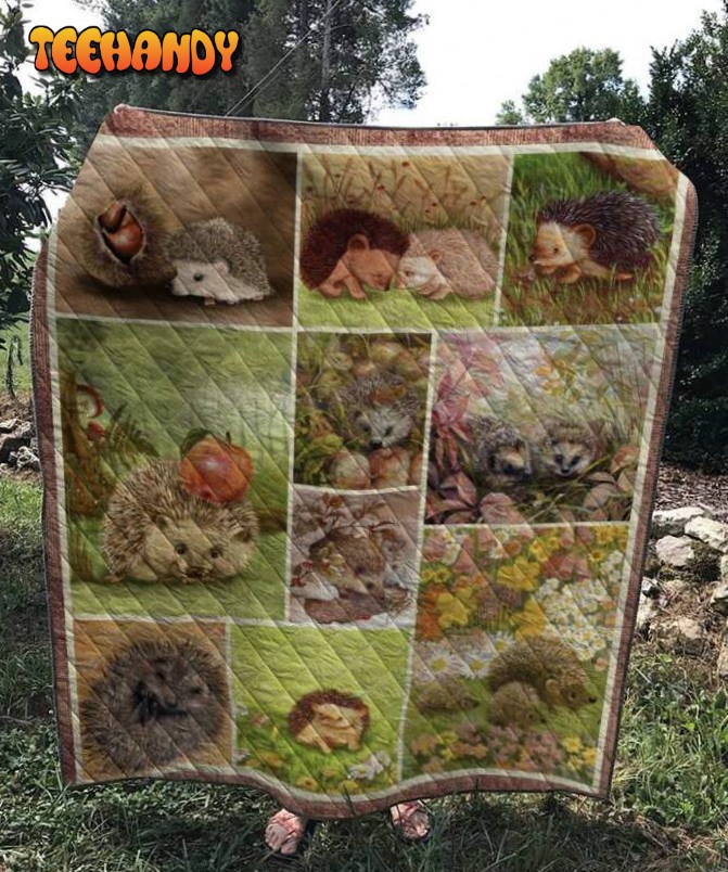 Hedgehog 3D Customized Quilt Blanket