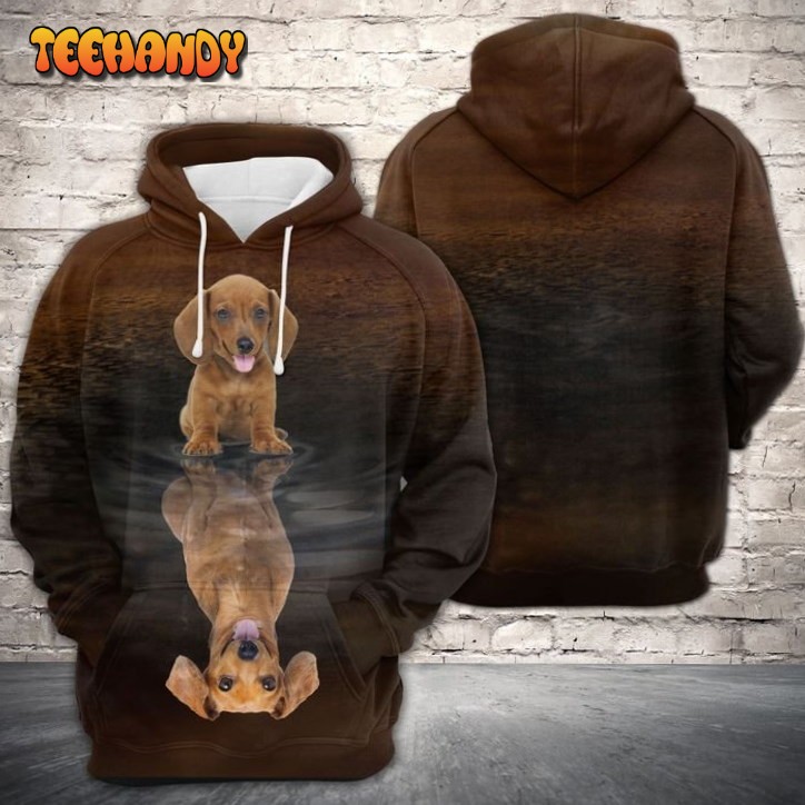 Cute Dachshund Reflection 3D Printed HoodieZipper Hoodie