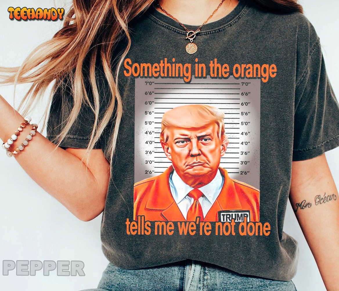 Something in The Orange Shirt, Mug Shot Indictment 2023 T-shirt