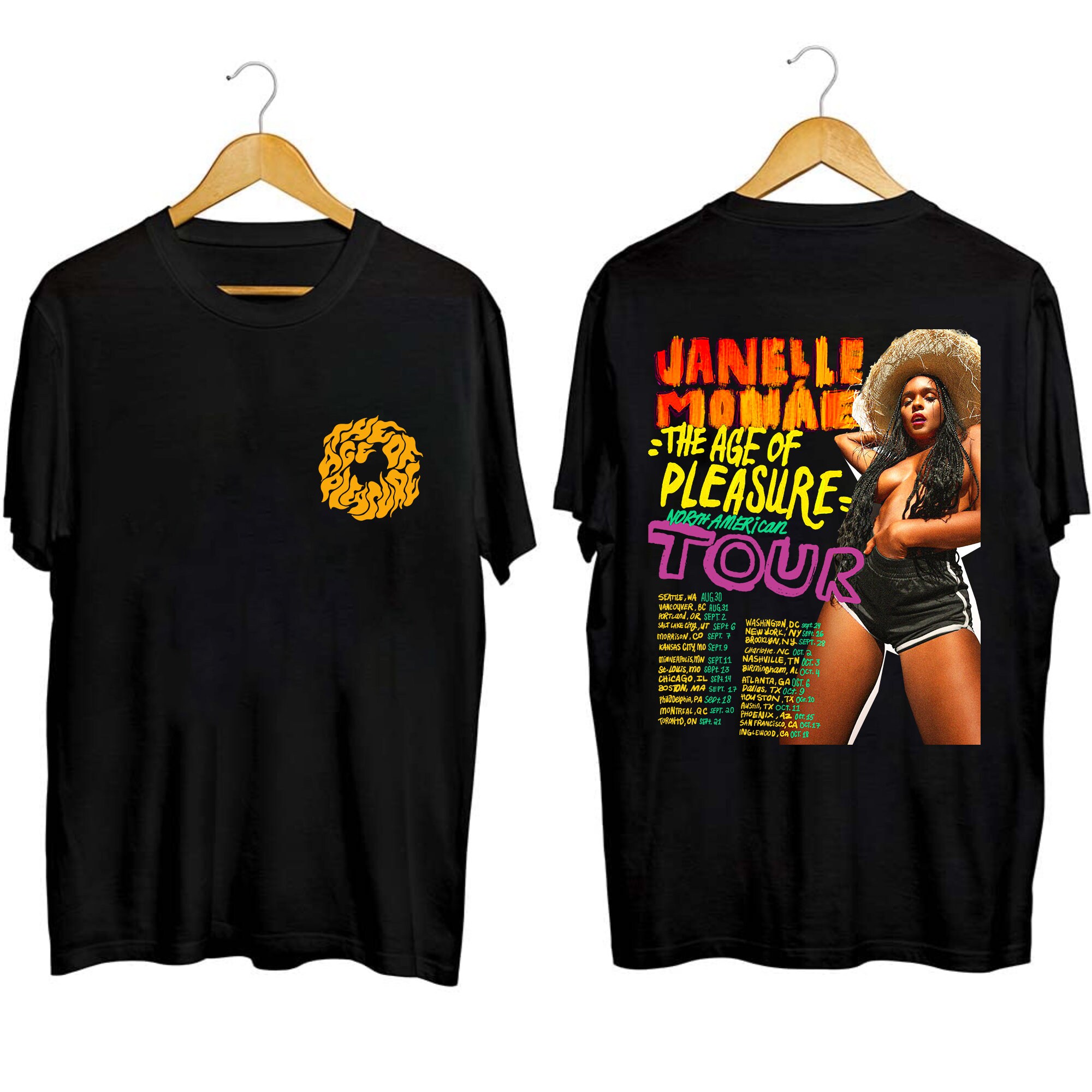 Janelle Monáe The Age of Pleasure Tour 2023 Sweatshirt